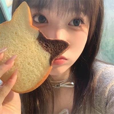 加菲猫2