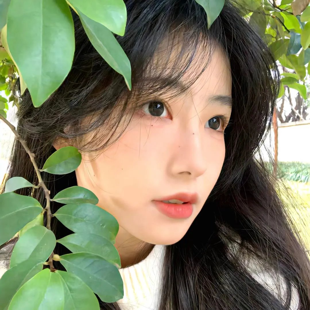 来自洛杉矶的异形